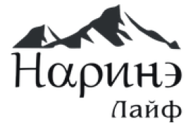 Narine Life logo